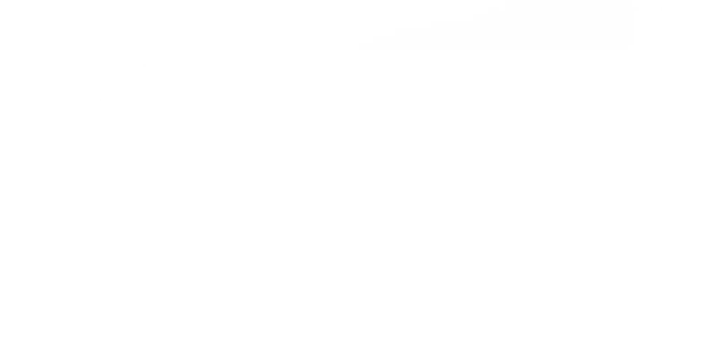 icon1